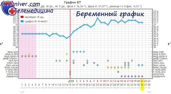Бт 37 2 и беременность