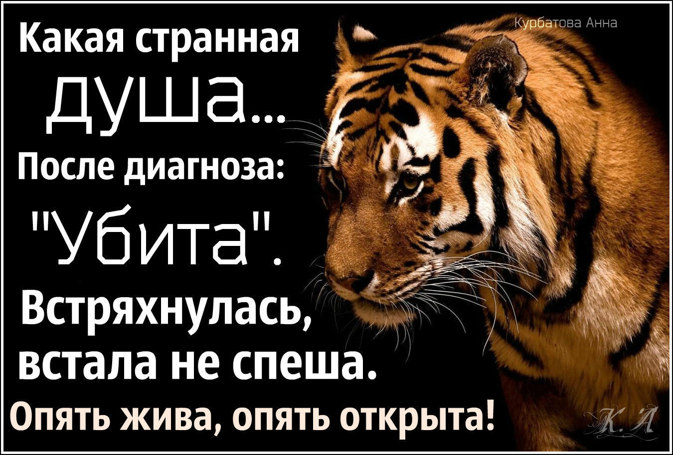 Тигр цитаты
