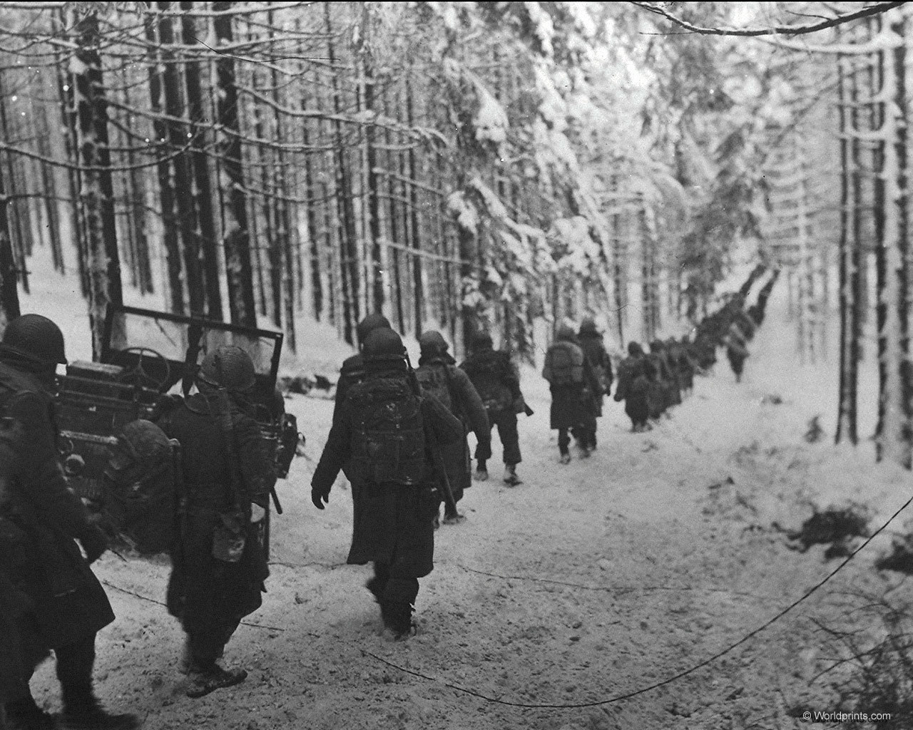Бойцы ВОВ 1941 В лесу\
