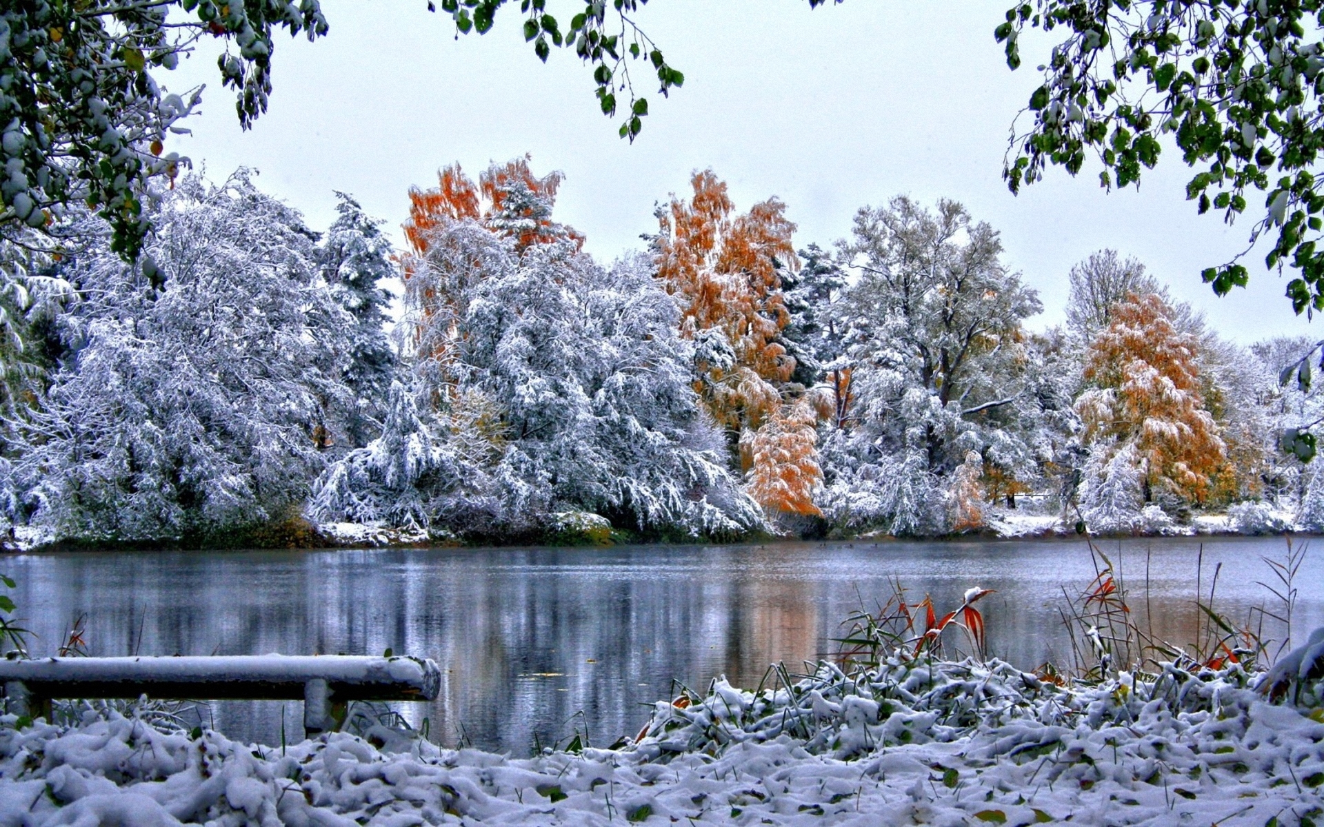 Первый снег картинки красивые