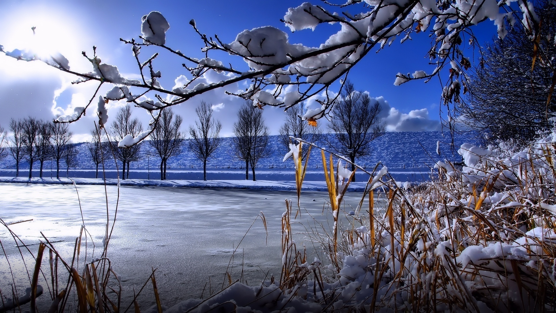 О природе и погоде. Ранняя Весна. Красивая ранняя Весна. Февраль природа. Весна снег.