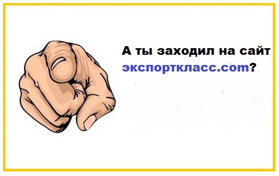 экспорткласс.com