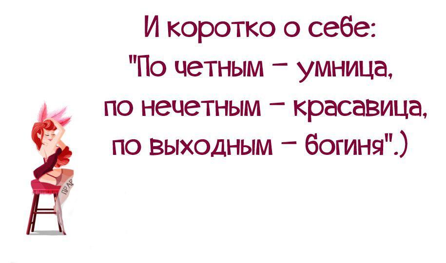 Коротко о себе с юмором картинки