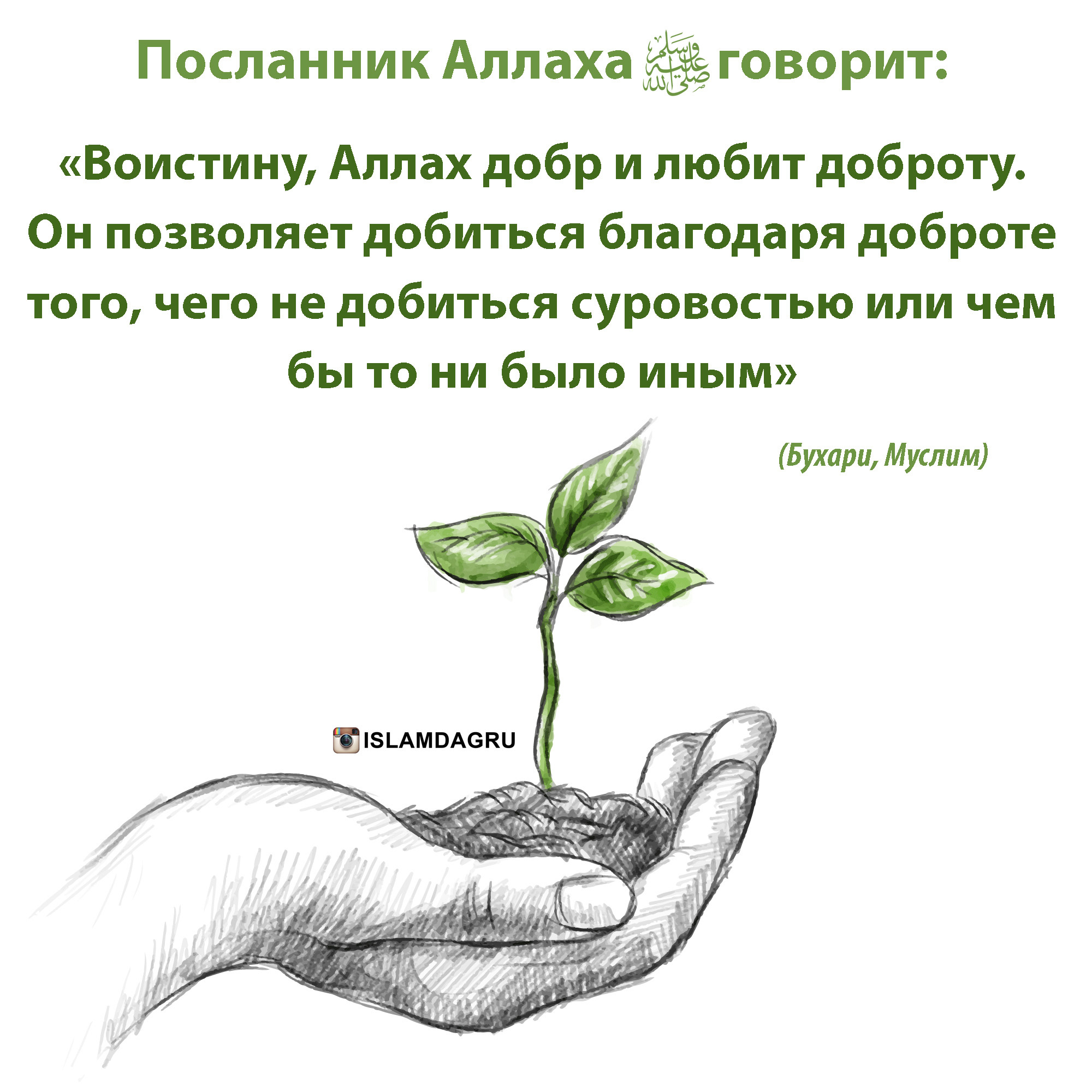 Человек говорит добро. Хадисы про доброту. Доброта в Исламе. Хадисы о доброте и милосердии. Хадисы о добре.