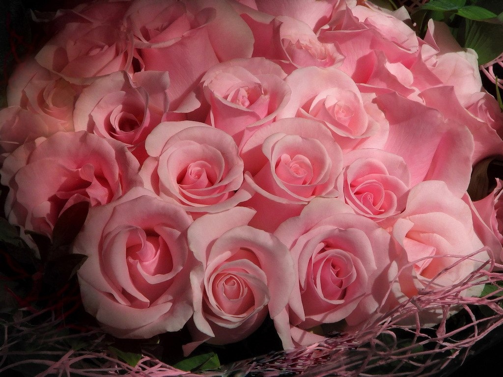 Сделать 2 фото розы. Розовые розы. Красивый букет роз. Шикарные цветы. Шикарный букет розовых роз.