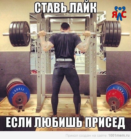 Картинки приколы на приседала