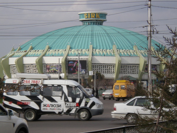 Цирк в ташкенте фото