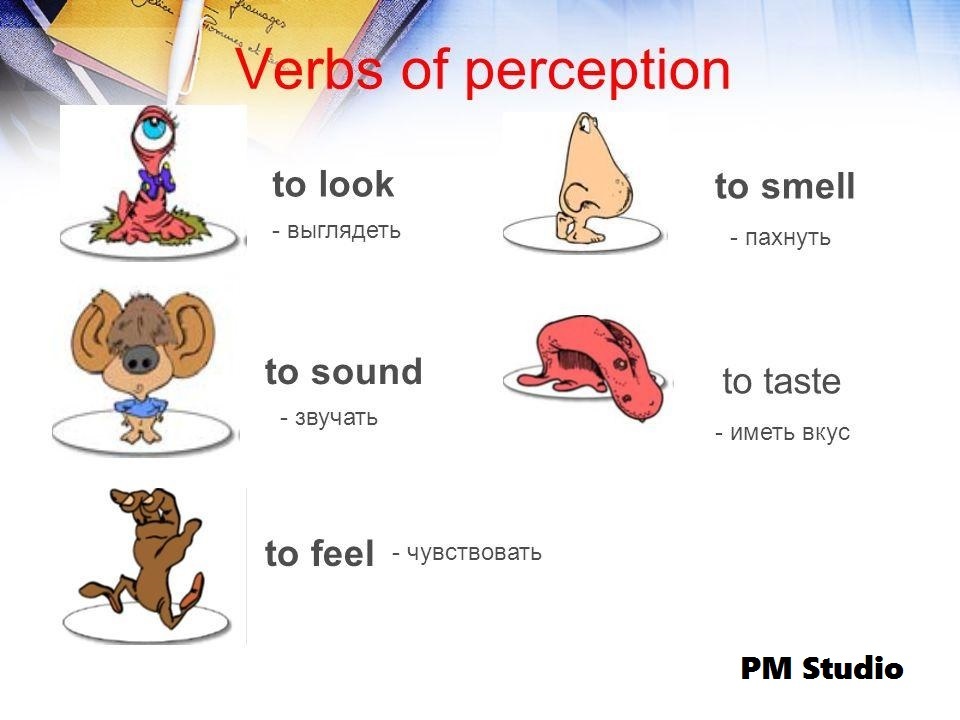 Feel seem look. Look smell taste Sound feel. Глаголы feel smell taste Sound. Verbs of sense Perception. Verbs of senses.