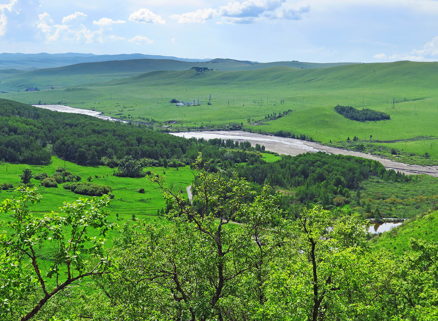 Фото горного зерентуя