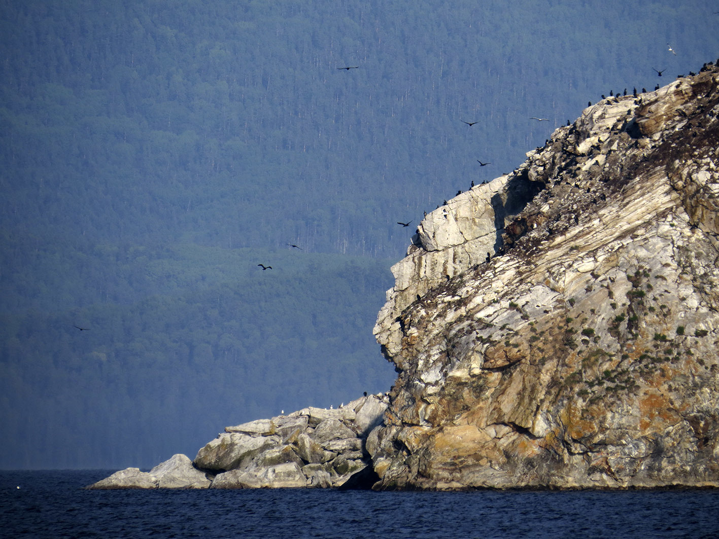 Старое Село из окна поезда